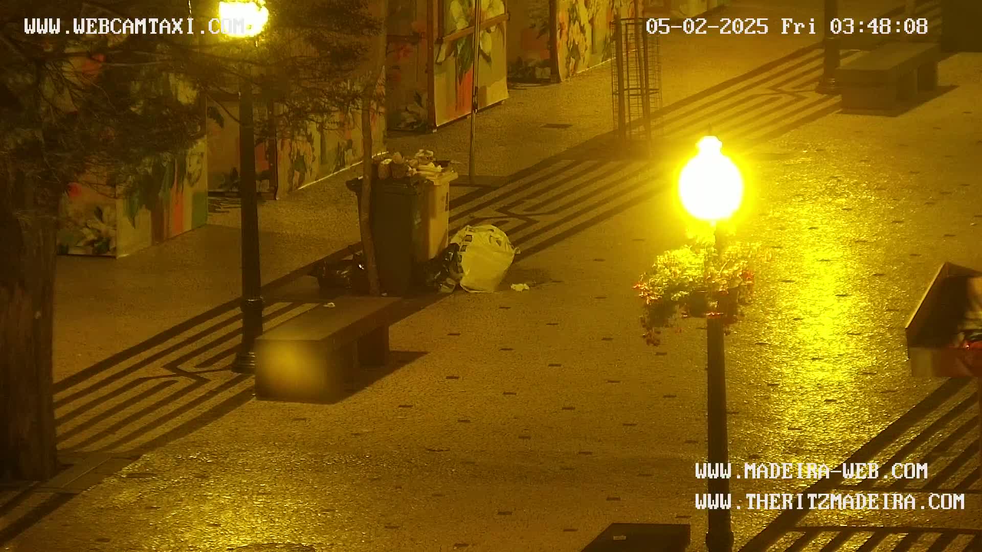 A wet, nighttime city street scene shows a trash can overflowing with garbage next to a bench under a bright streetlamp, with shadows cast on the ground from a nearby tree and railings.