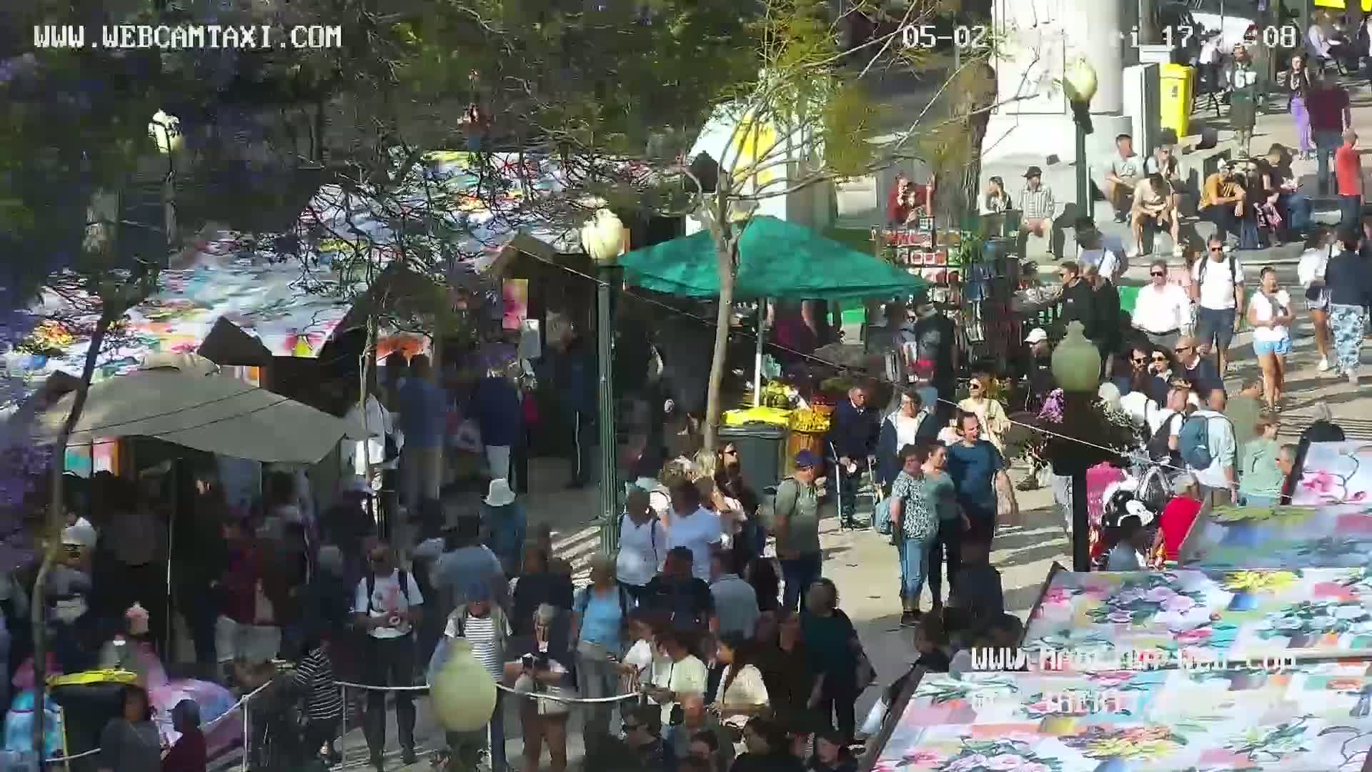 A sunny day at an outdoor market shows many people browsing stalls under canopies and trees.
