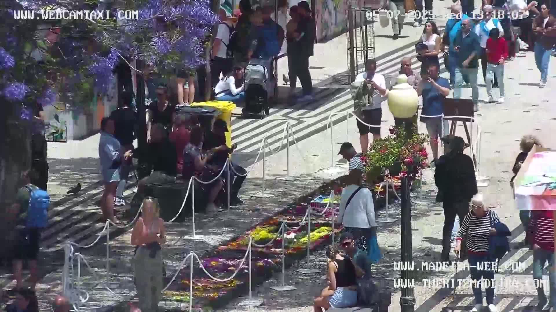 A sunny outdoor scene shows a paved area with a crowd of people milling about, some near flower arrangements on the ground, others further away under a tree with purple blossoms.