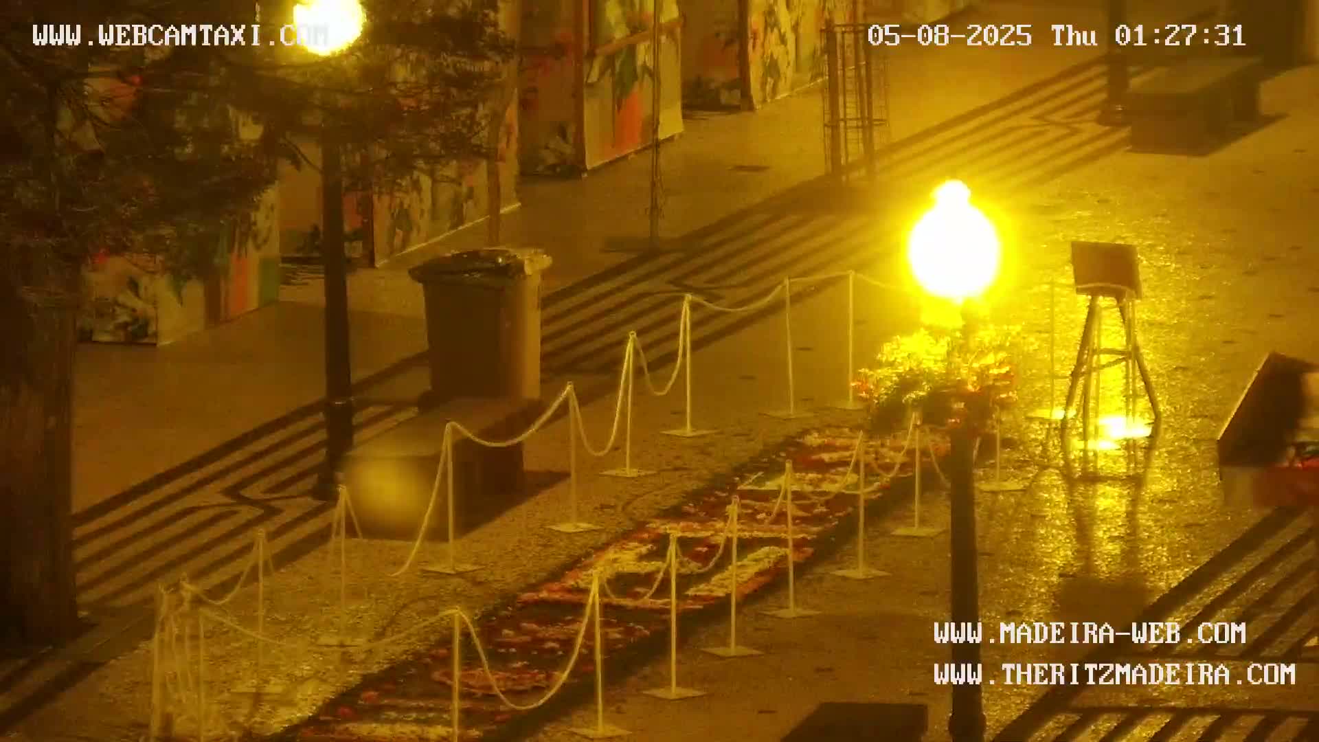 A nighttime outdoor scene shows a flower-petal carpet bordered by stanchions and illuminated by a bright lamp, with rain reflecting on the wet ground.