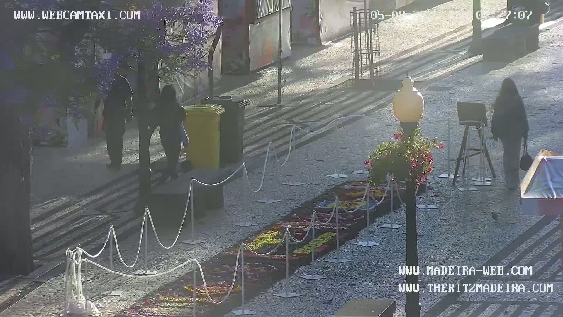 A sunny outdoor scene shows several people walking past a large, colorful floral display roped off on a cobblestone street.