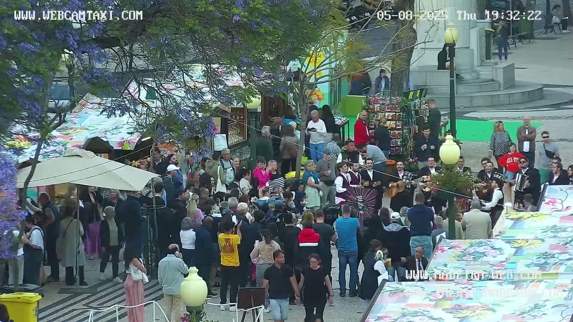 A large crowd of people gathers outdoors in a square under flowering trees, many standing around musicians playing instruments.