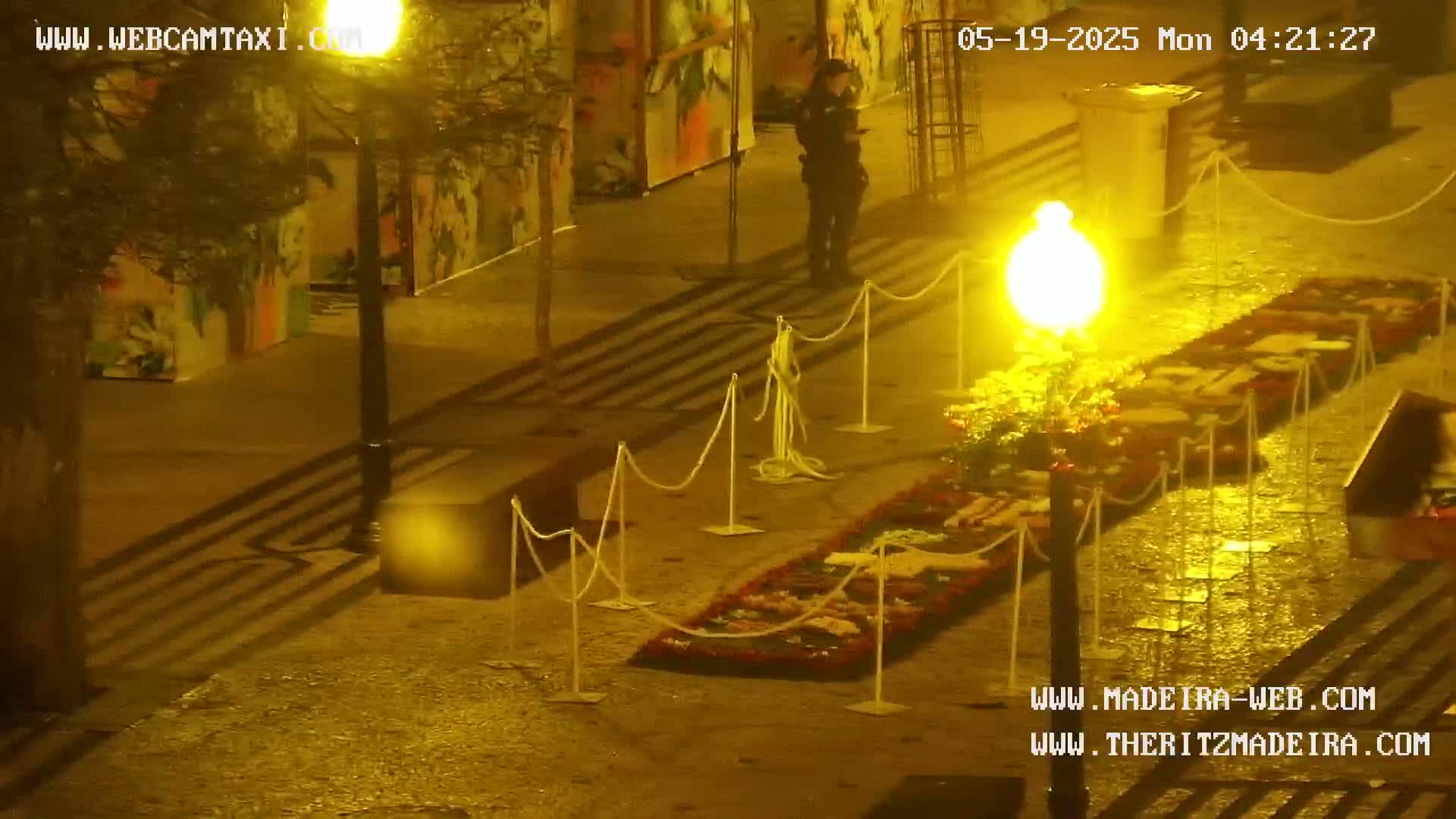 Ritz, Avenida Arriaga Avenue & Joao Goncalves Zarco Statue Live Cam - Funchal, Madeira, Portugal