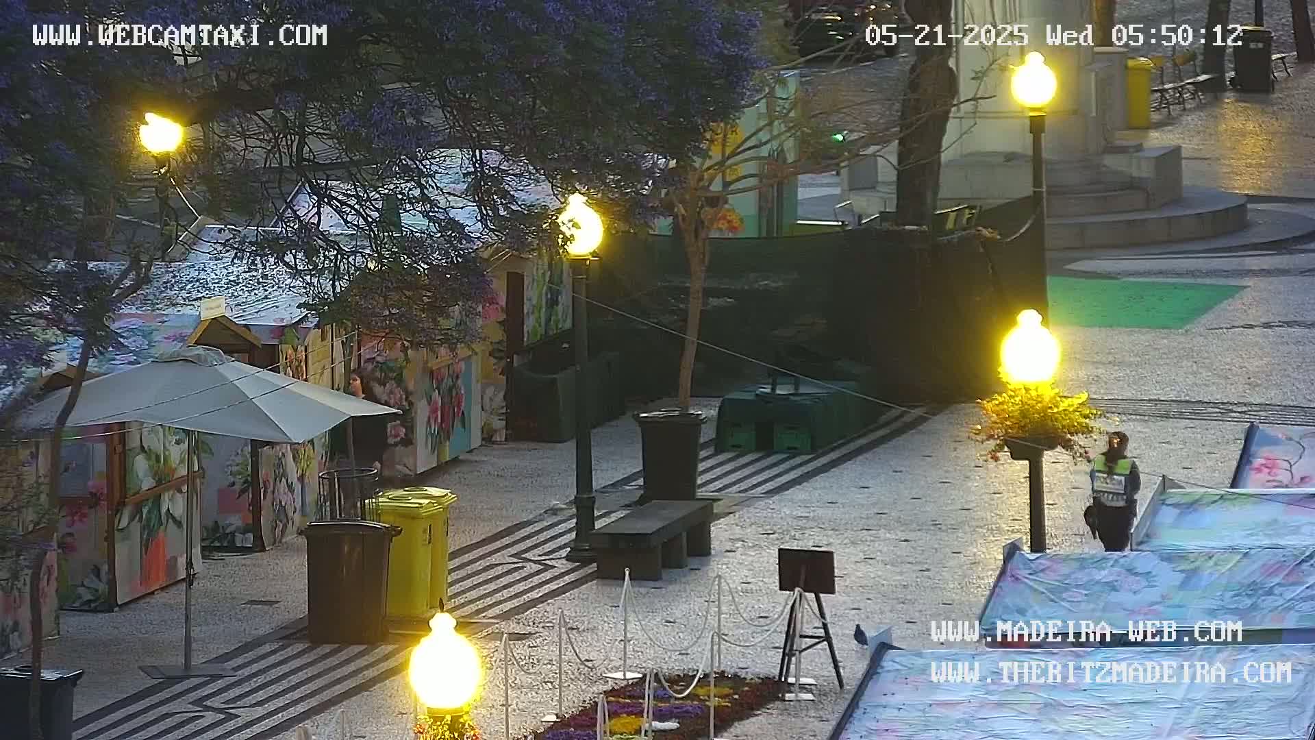 Ritz, Avenida Arriaga Avenue & Joao Goncalves Zarco Statue Live Cam - Funchal, Madeira, Portugal