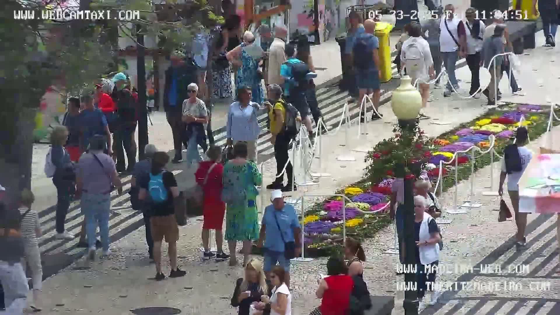 A crowd of people are walking on a stone plaza decorated with a large floral design on a sunny day.