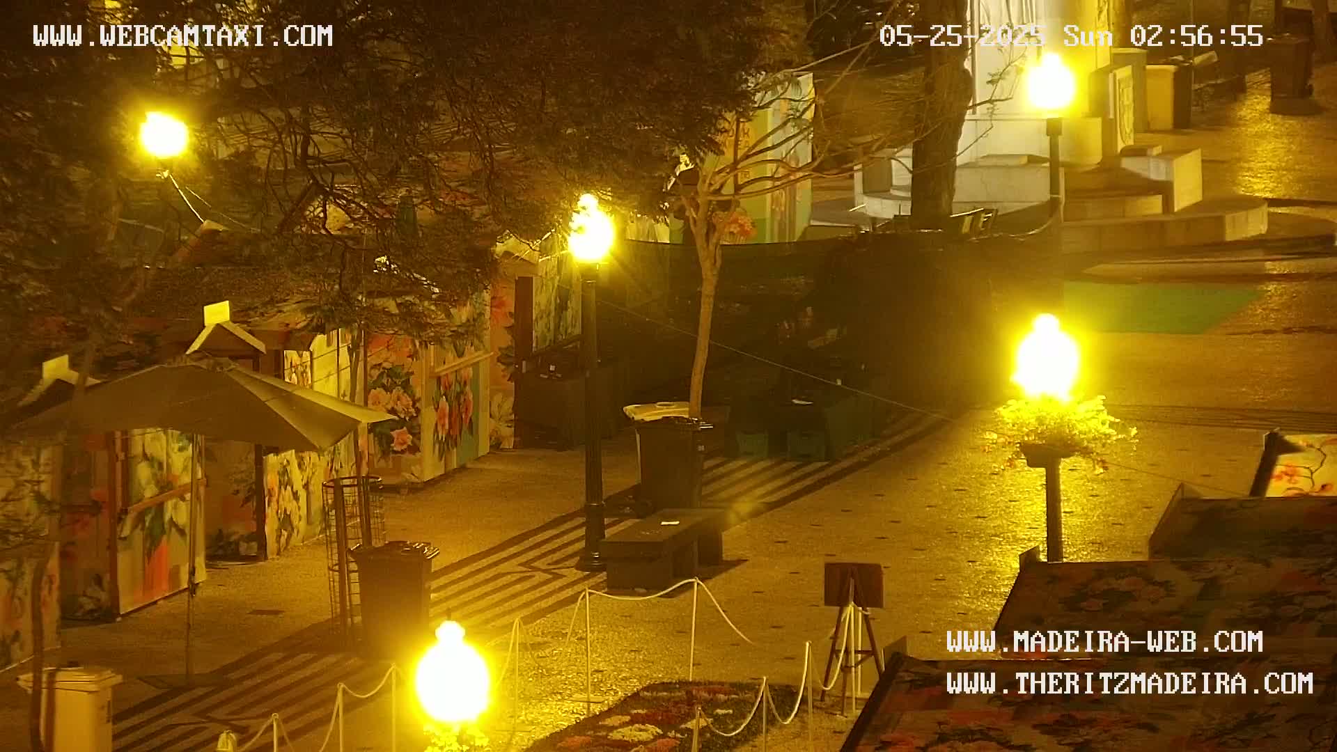 Ritz, Avenida Arriaga Avenue & Joao Goncalves Zarco Statue Live Cam - Funchal, Madeira, Portugal