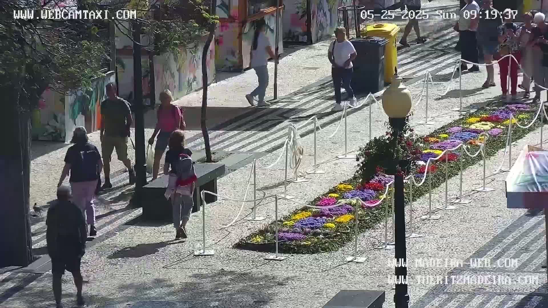 A sunny outdoor scene shows pedestrians walking on a paved area alongside a long, colorful floral display bordered by white stanchions.