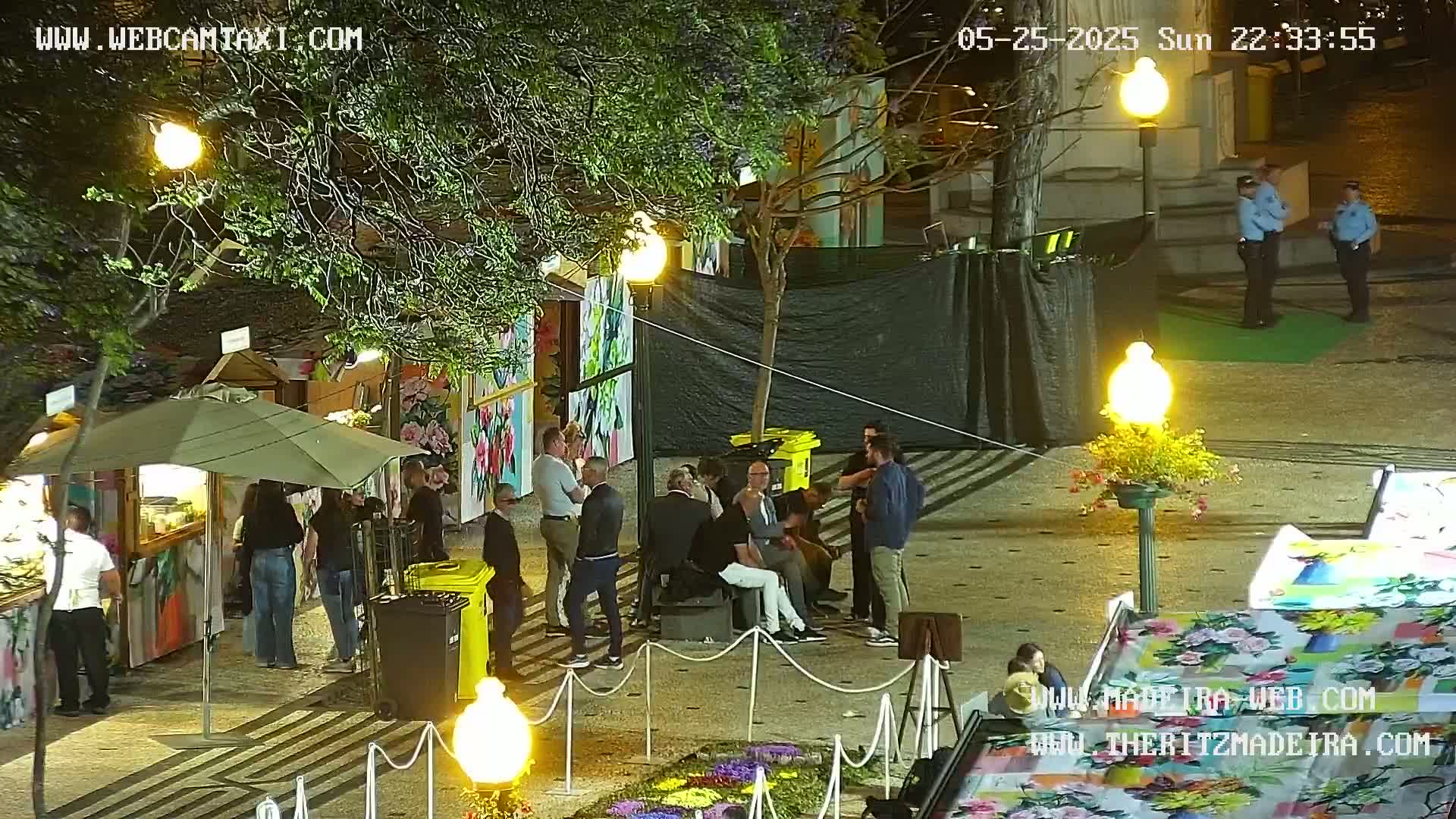 Ritz, Avenida Arriaga Avenue & Joao Goncalves Zarco Statue Live Cam - Funchal, Madeira, Portugal