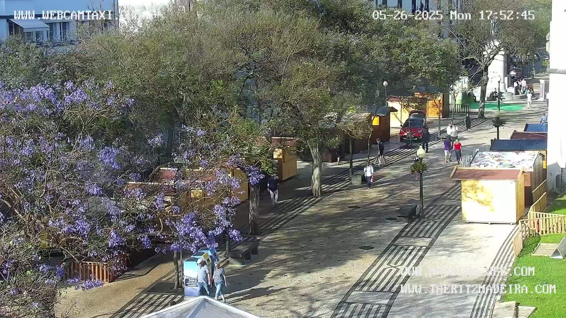 A sunny paved pedestrian area with small wooden stalls, several people walking, and a jacaranda tree in full purple bloom.