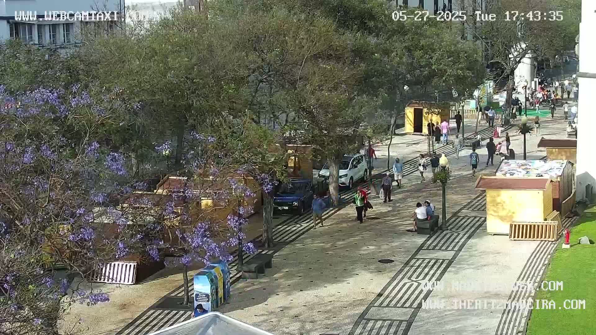 A paved pedestrian area with small structures and several people walking, under a sunny sky, surrounded by trees with purple blossoms.