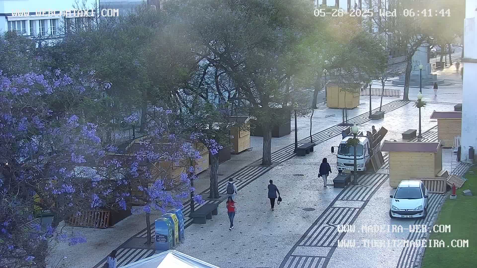Ritz, Avenida Arriaga Avenue & Joao Goncalves Zarco Statue Live Cam - Funchal, Madeira, Portugal