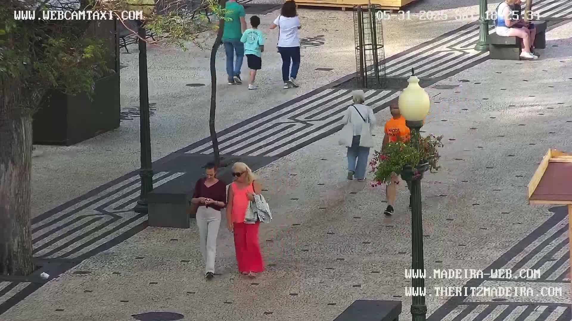 Ritz, Avenida Arriaga Avenue & Joao Goncalves Zarco Statue Live Cam - Funchal, Madeira, Portugal