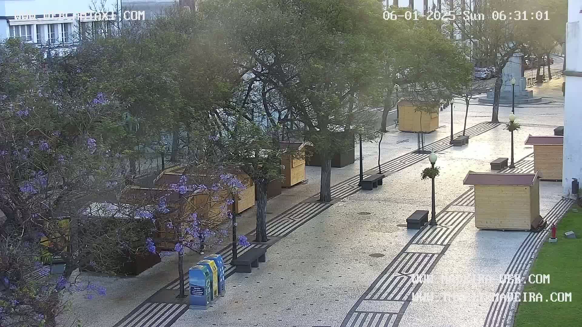 Ritz, Avenida Arriaga Avenue & Joao Goncalves Zarco Statue Live Cam - Funchal, Madeira, Portugal