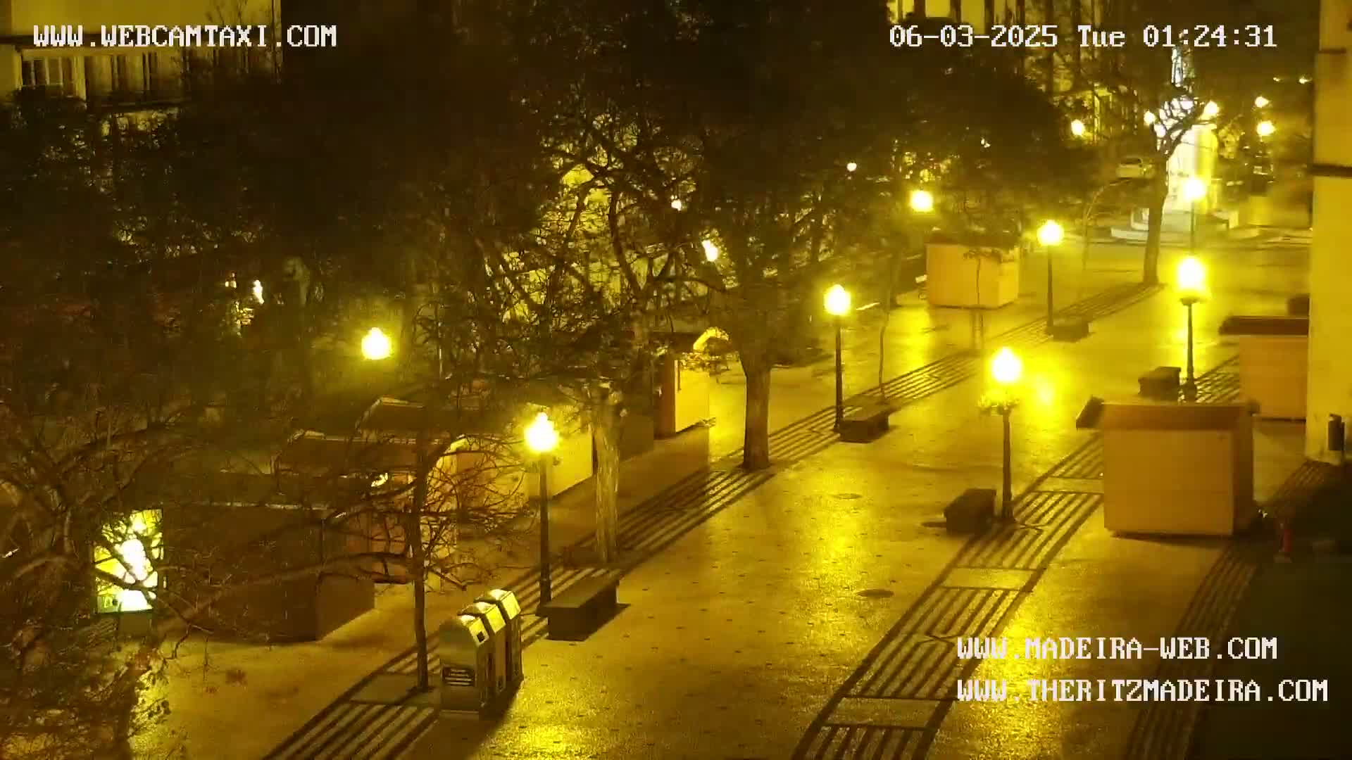 Ritz, Avenida Arriaga Avenue & Joao Goncalves Zarco Statue Live Cam - Funchal, Madeira, Portugal