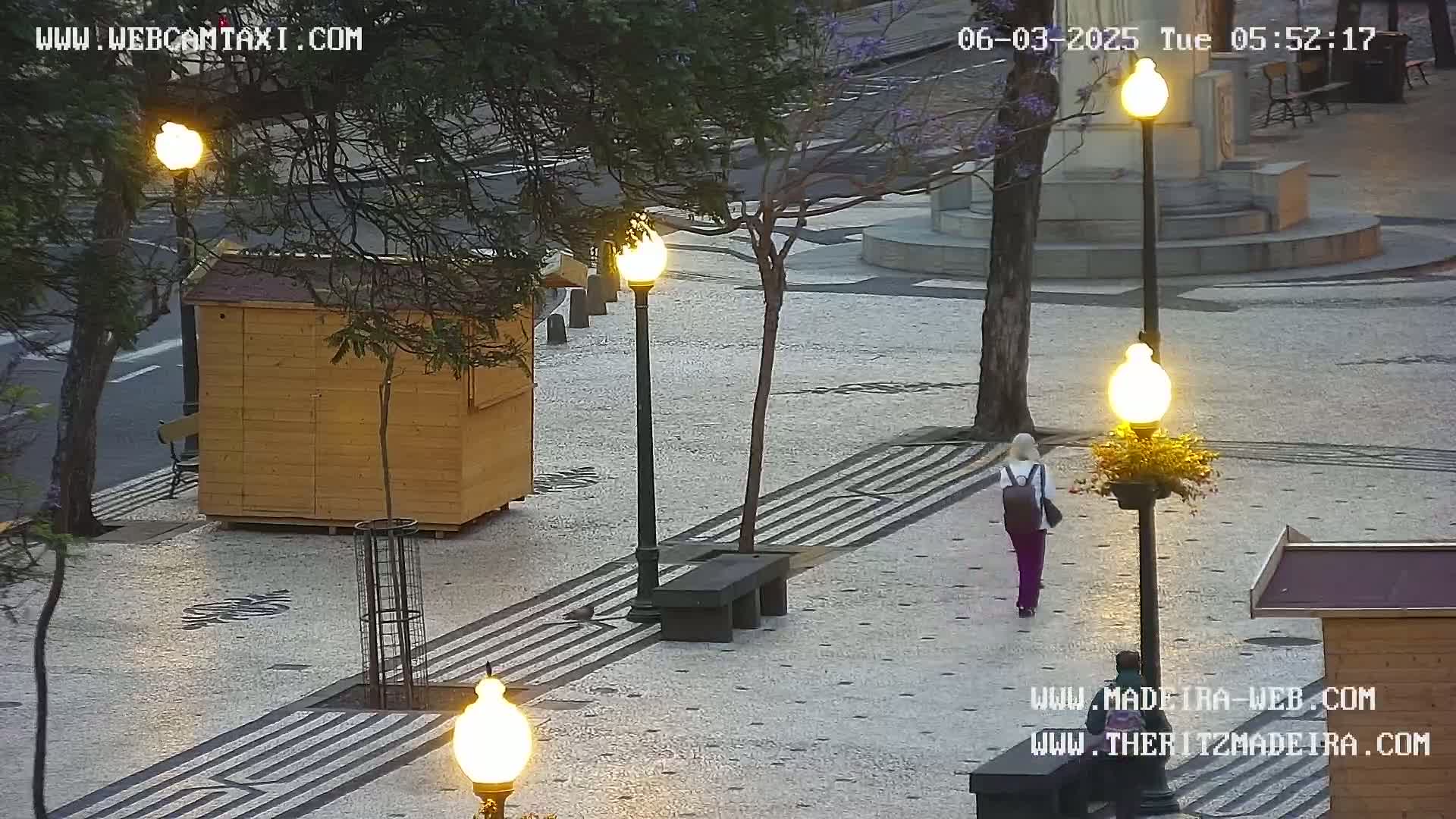 Ritz, Avenida Arriaga Avenue & Joao Goncalves Zarco Statue Live Cam - Funchal, Madeira, Portugal