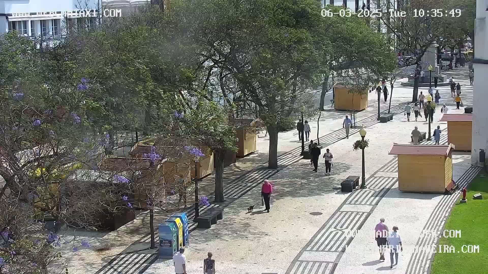A sunny paved pedestrian area with small wooden stalls, trees with purple flowers, and people walking.