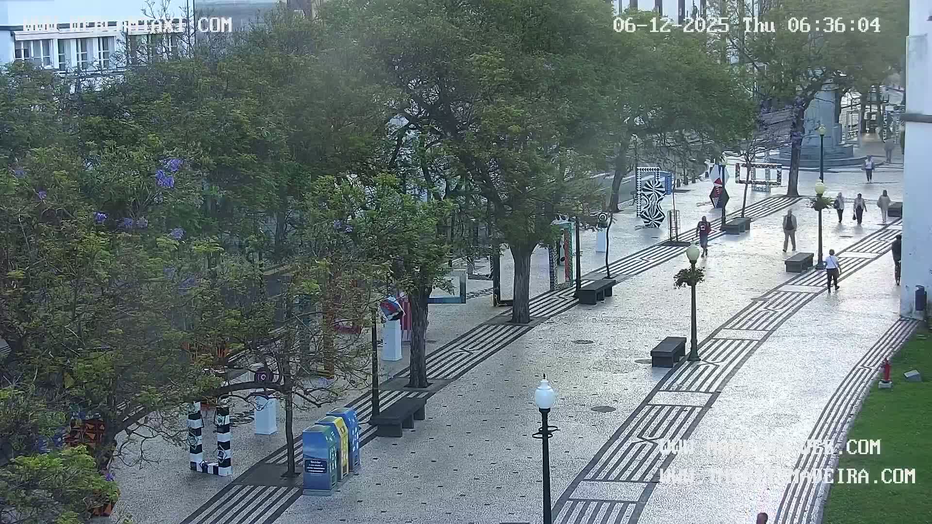 Ritz, Avenida Arriaga Avenue & Joao Goncalves Zarco Statue Live Cam - Funchal, Madeira, Portugal