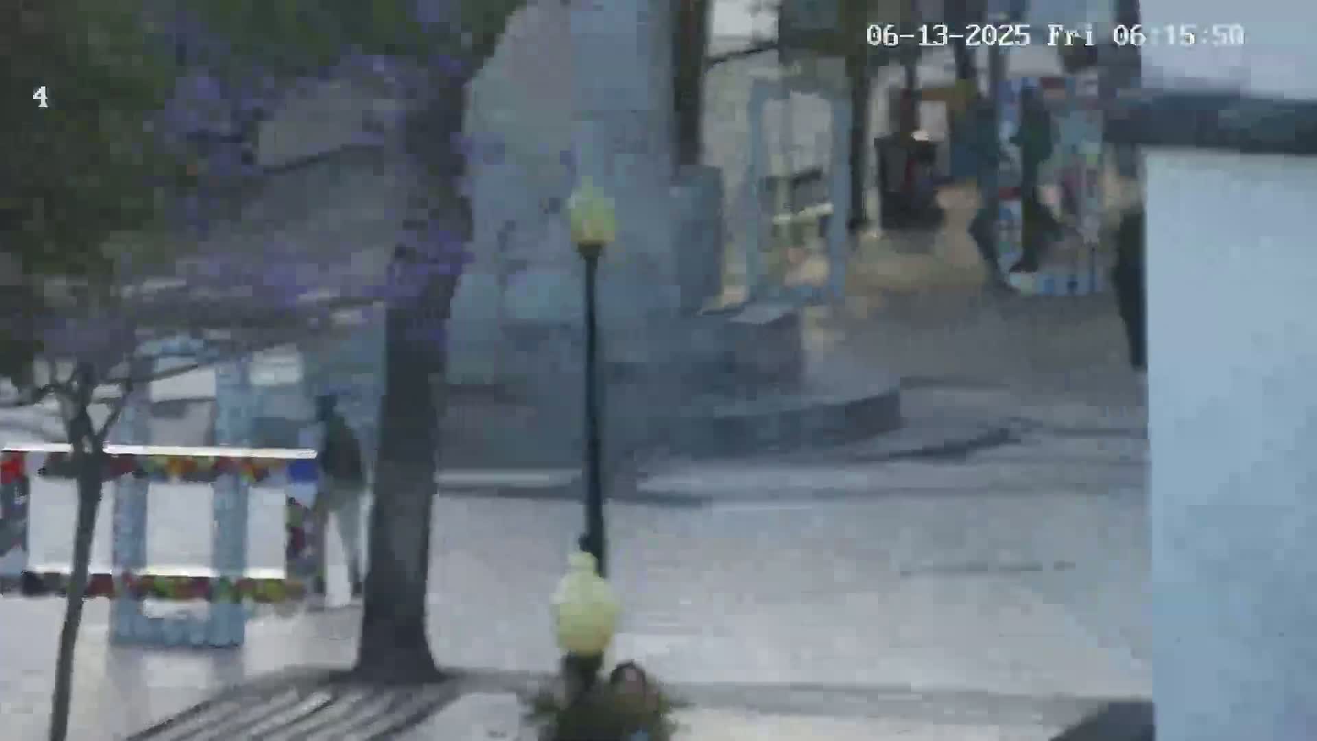 Ritz, Avenida Arriaga Avenue & Joao Goncalves Zarco Statue Live Cam - Funchal, Madeira, Portugal