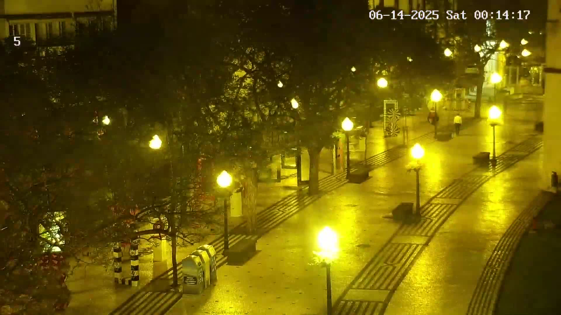 Ritz, Avenida Arriaga Avenue & Joao Goncalves Zarco Statue Live Cam - Funchal, Madeira, Portugal
