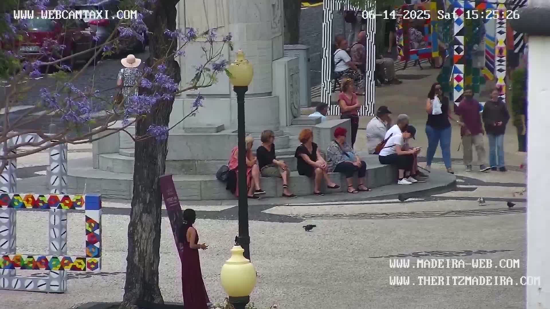 A sunny plaza with several people sitting on stone steps near a tree with purple flowers, and a woman in a long dress standing nearby.