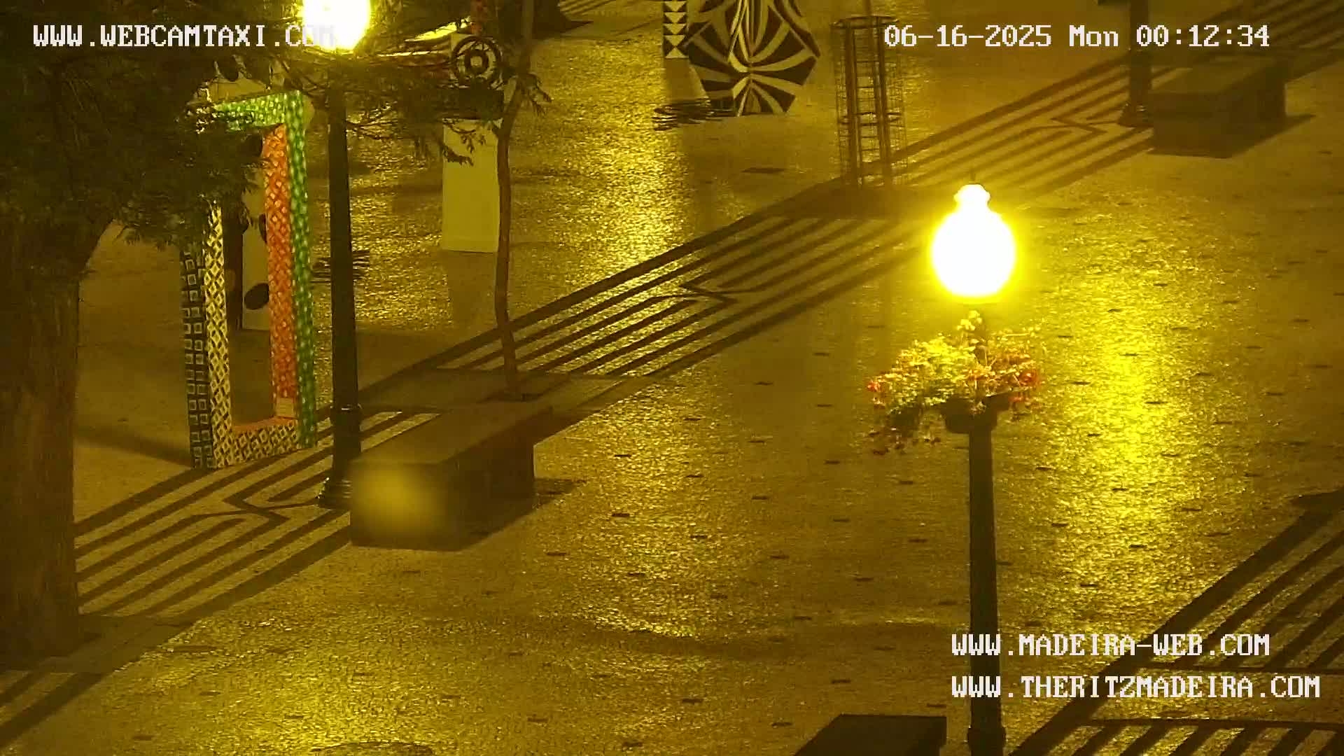 Ritz, Avenida Arriaga Avenue & Joao Goncalves Zarco Statue Live Cam - Funchal, Madeira, Portugal