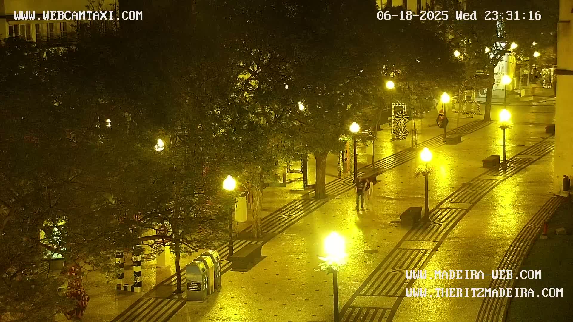 Ritz, Avenida Arriaga Avenue & Joao Goncalves Zarco Statue Live Cam - Funchal, Madeira, Portugal