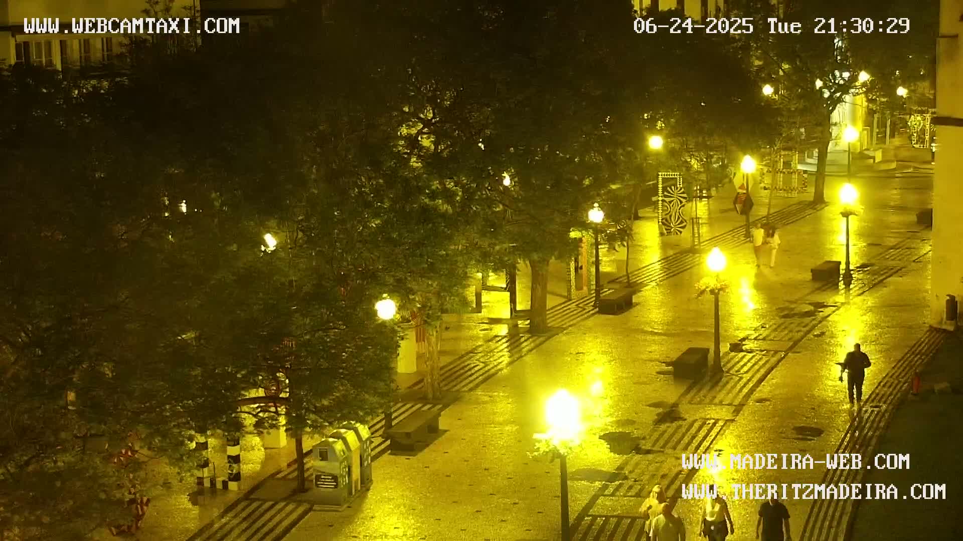 Ritz, Avenida Arriaga Avenue & Joao Goncalves Zarco Statue Live Cam - Funchal, Madeira, Portugal