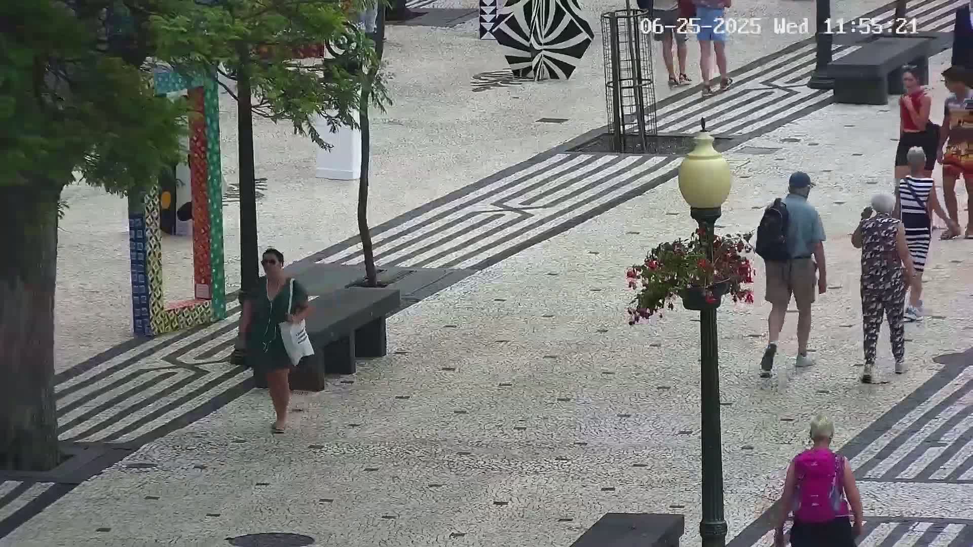 Ritz, Avenida Arriaga Avenue & Joao Goncalves Zarco Statue Live Cam - Funchal, Madeira, Portugal