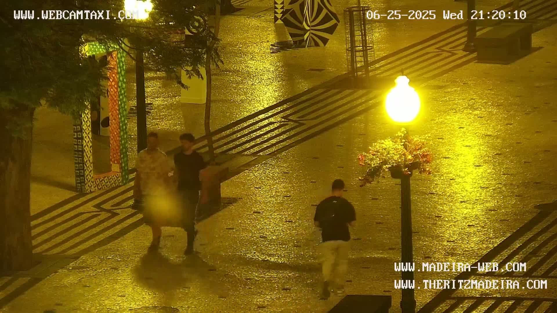 Ritz, Avenida Arriaga Avenue & Joao Goncalves Zarco Statue Live Cam - Funchal, Madeira, Portugal
