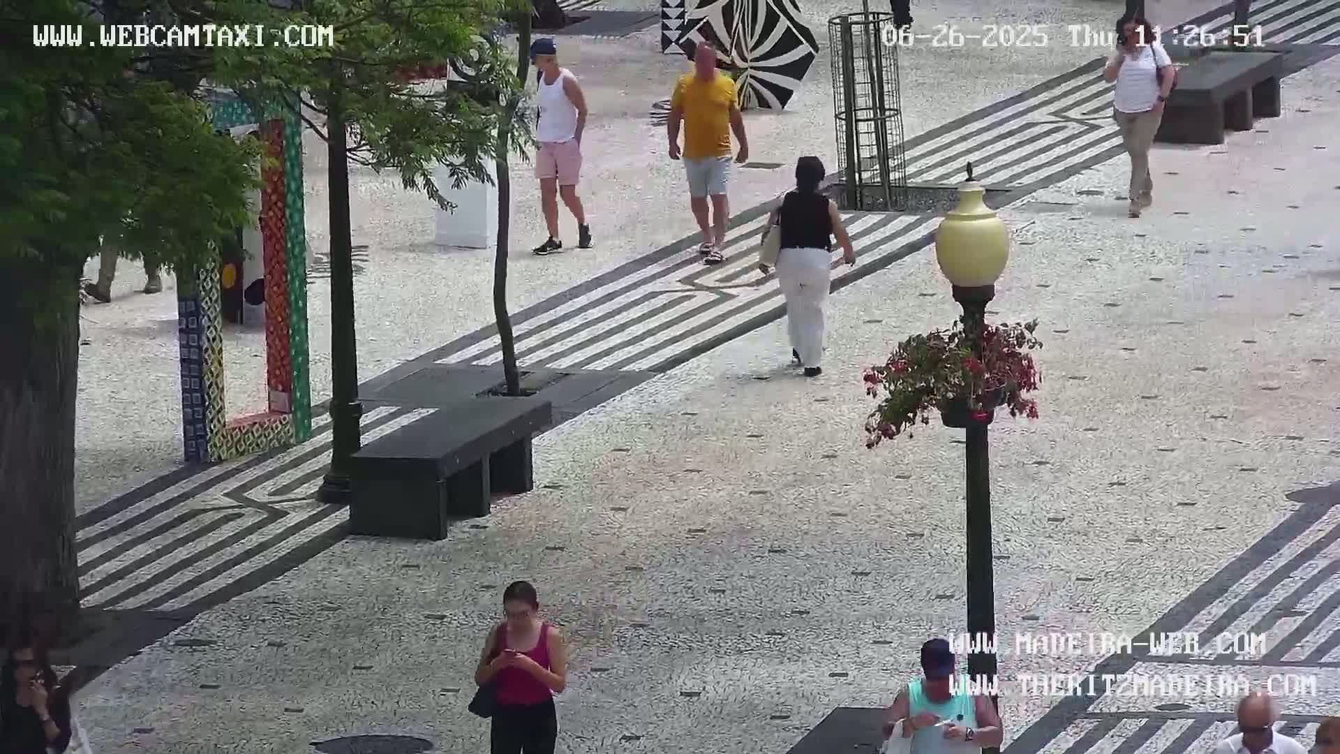 Ritz, Avenida Arriaga Avenue & Joao Goncalves Zarco Statue Live Cam - Funchal, Madeira, Portugal