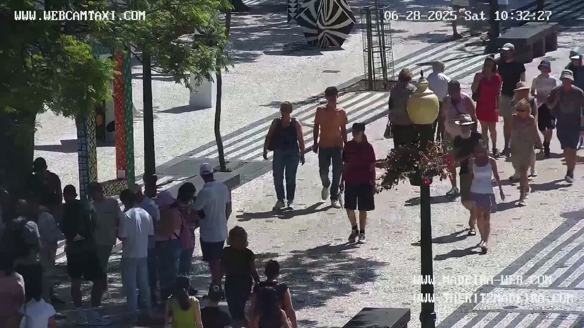 Ritz, Avenida Arriaga Avenue & Joao Goncalves Zarco Statue Live Cam - Funchal, Madeira, Portugal