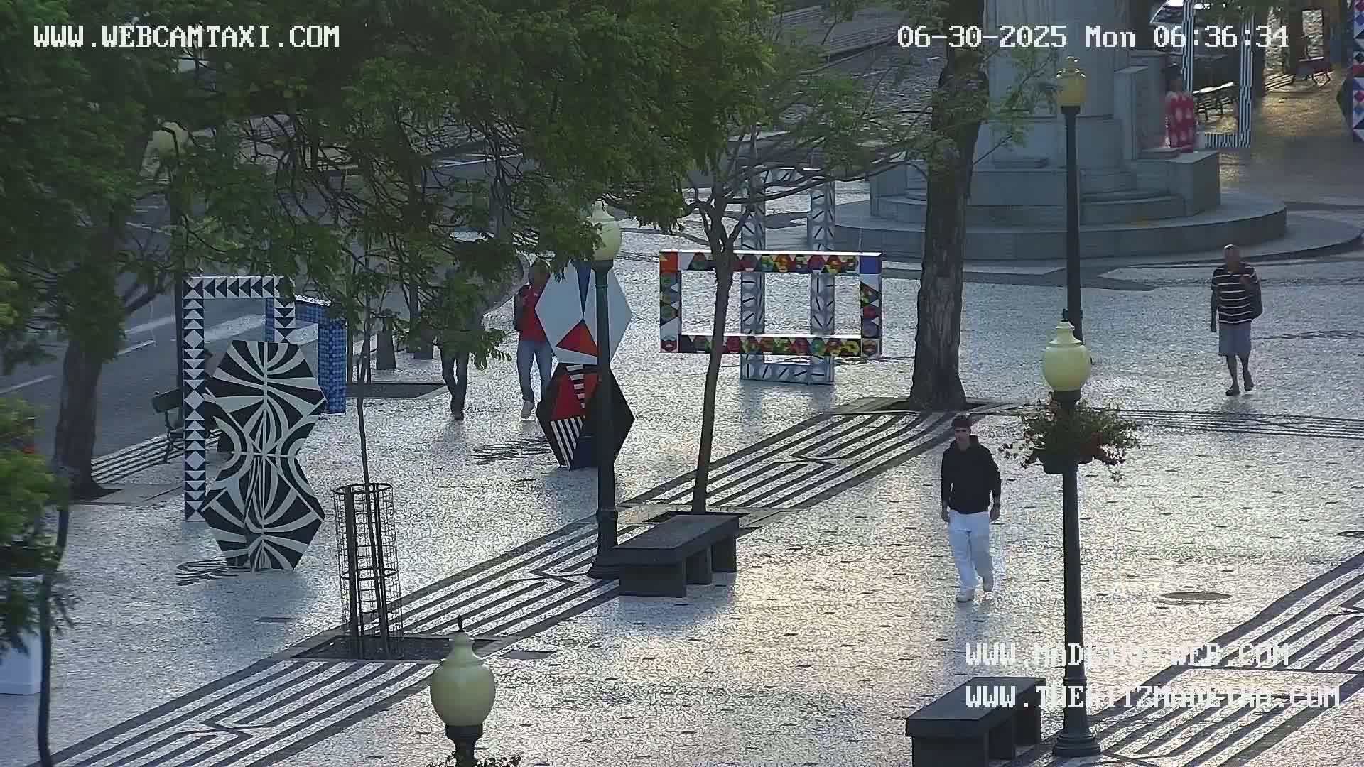 Ritz, Avenida Arriaga Avenue & Joao Goncalves Zarco Statue Live Cam - Funchal, Madeira, Portugal
