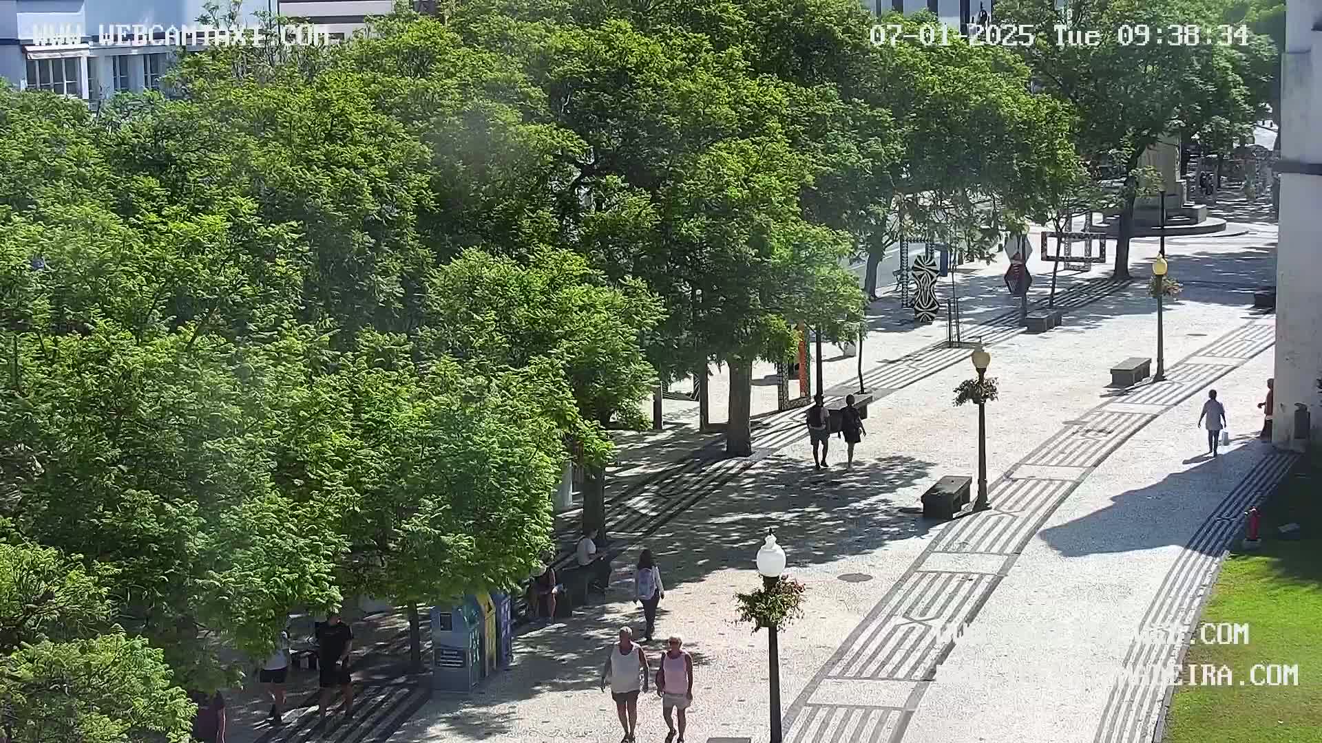 Ritz, Avenida Arriaga Avenue & Joao Goncalves Zarco Statue Live Cam - Funchal, Madeira, Portugal
