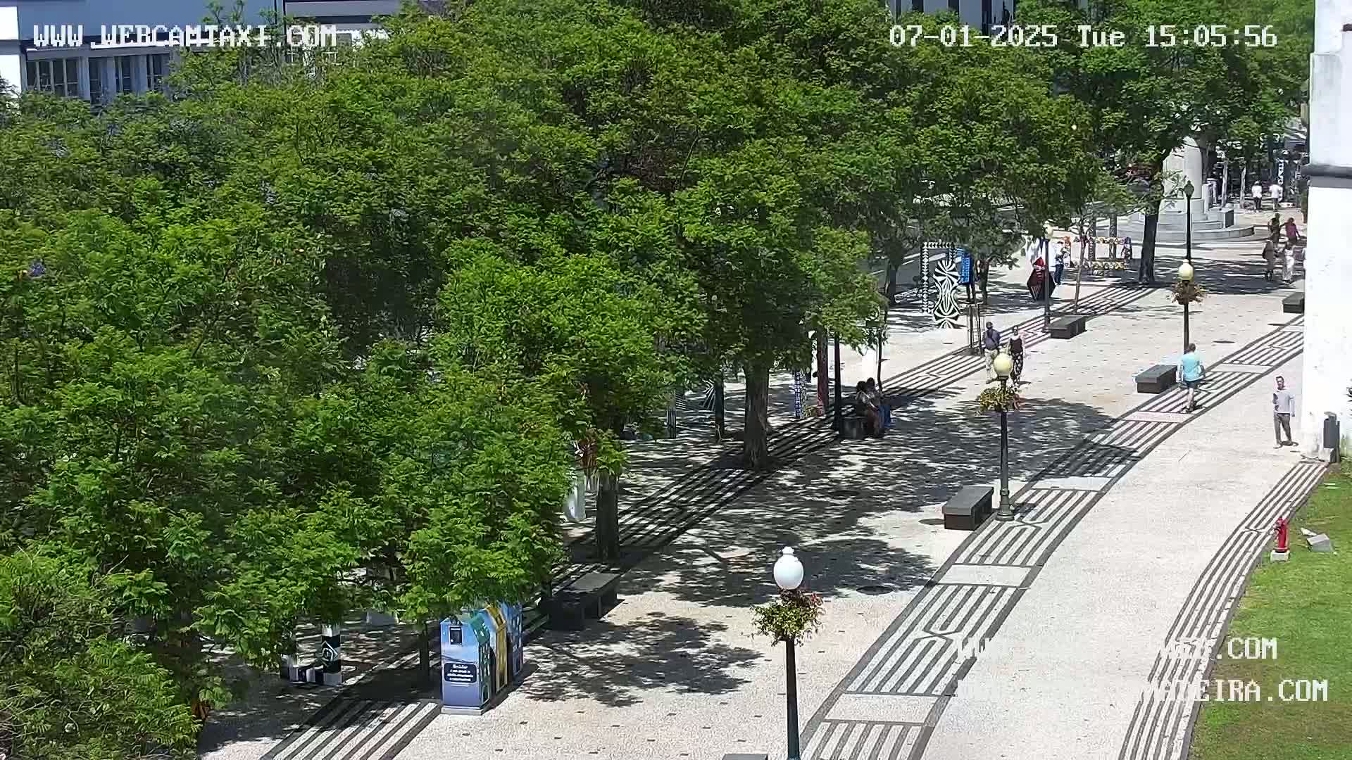 Ritz, Avenida Arriaga Avenue & Joao Goncalves Zarco Statue Live Cam - Funchal, Madeira, Portugal