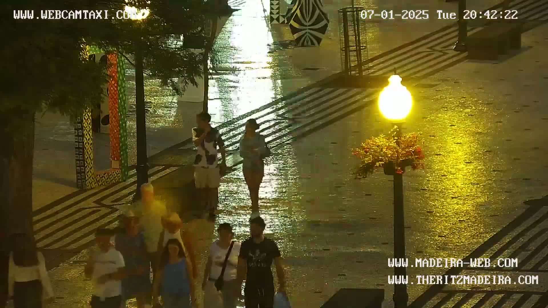 Ritz, Avenida Arriaga Avenue & Joao Goncalves Zarco Statue Live Cam - Funchal, Madeira, Portugal