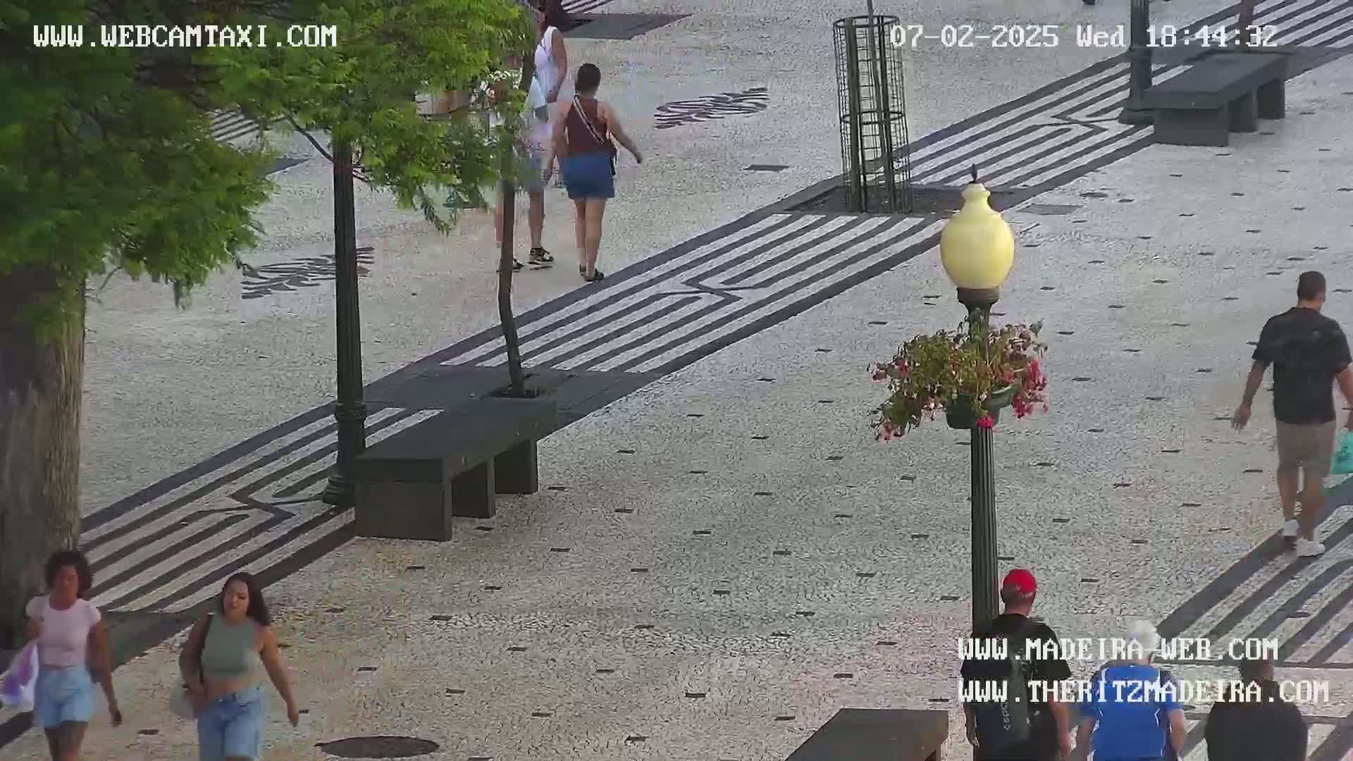 Ritz, Avenida Arriaga Avenue & Joao Goncalves Zarco Statue Live Cam - Funchal, Madeira, Portugal