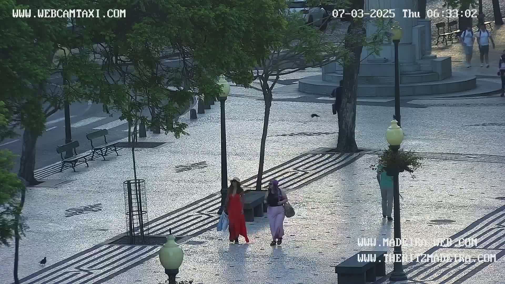 Ritz, Avenida Arriaga Avenue & Joao Goncalves Zarco Statue Live Cam - Funchal, Madeira, Portugal