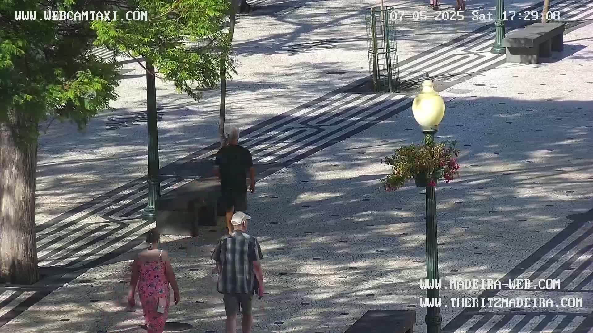 Ritz, Avenida Arriaga Avenue & Joao Goncalves Zarco Statue Live Cam - Funchal, Madeira, Portugal