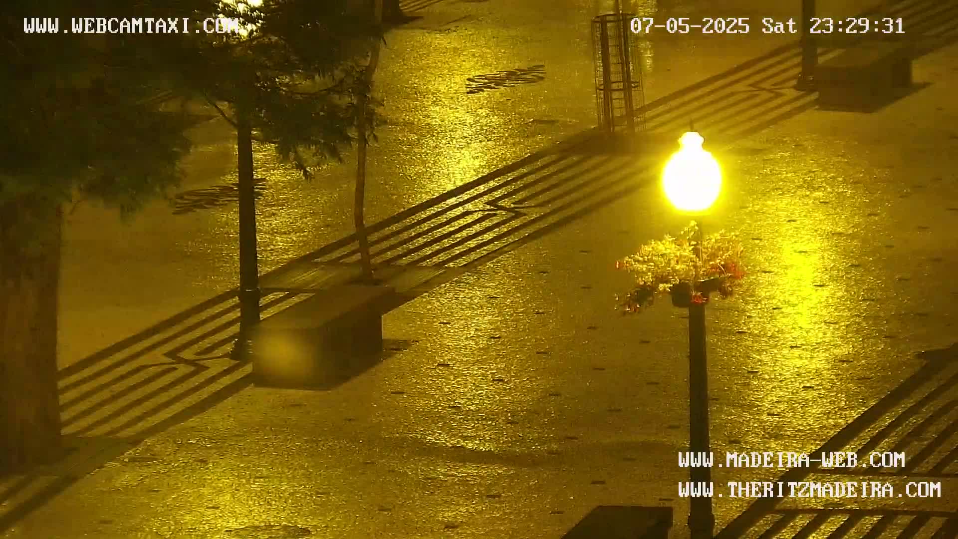 Ritz, Avenida Arriaga Avenue & Joao Goncalves Zarco Statue Live Cam - Funchal, Madeira, Portugal