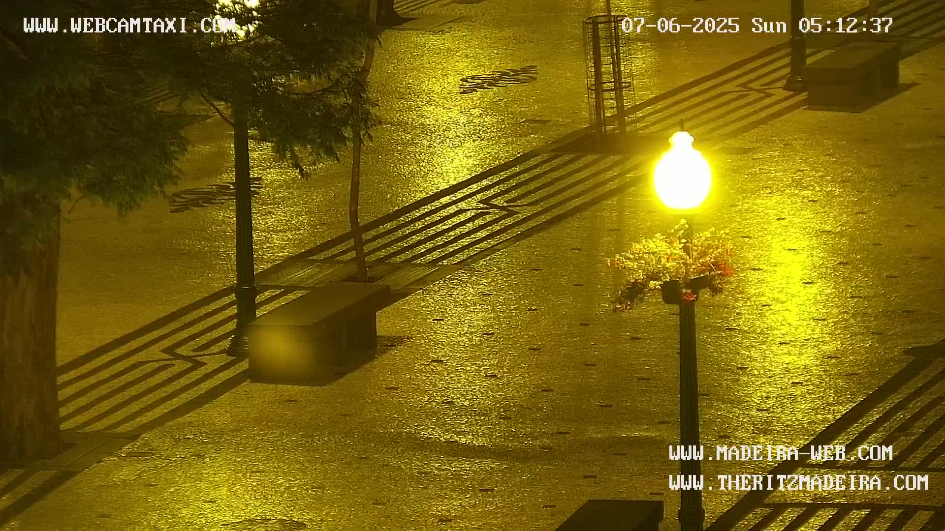Ritz, Avenida Arriaga Avenue & Joao Goncalves Zarco Statue Live Cam - Funchal, Madeira, Portugal