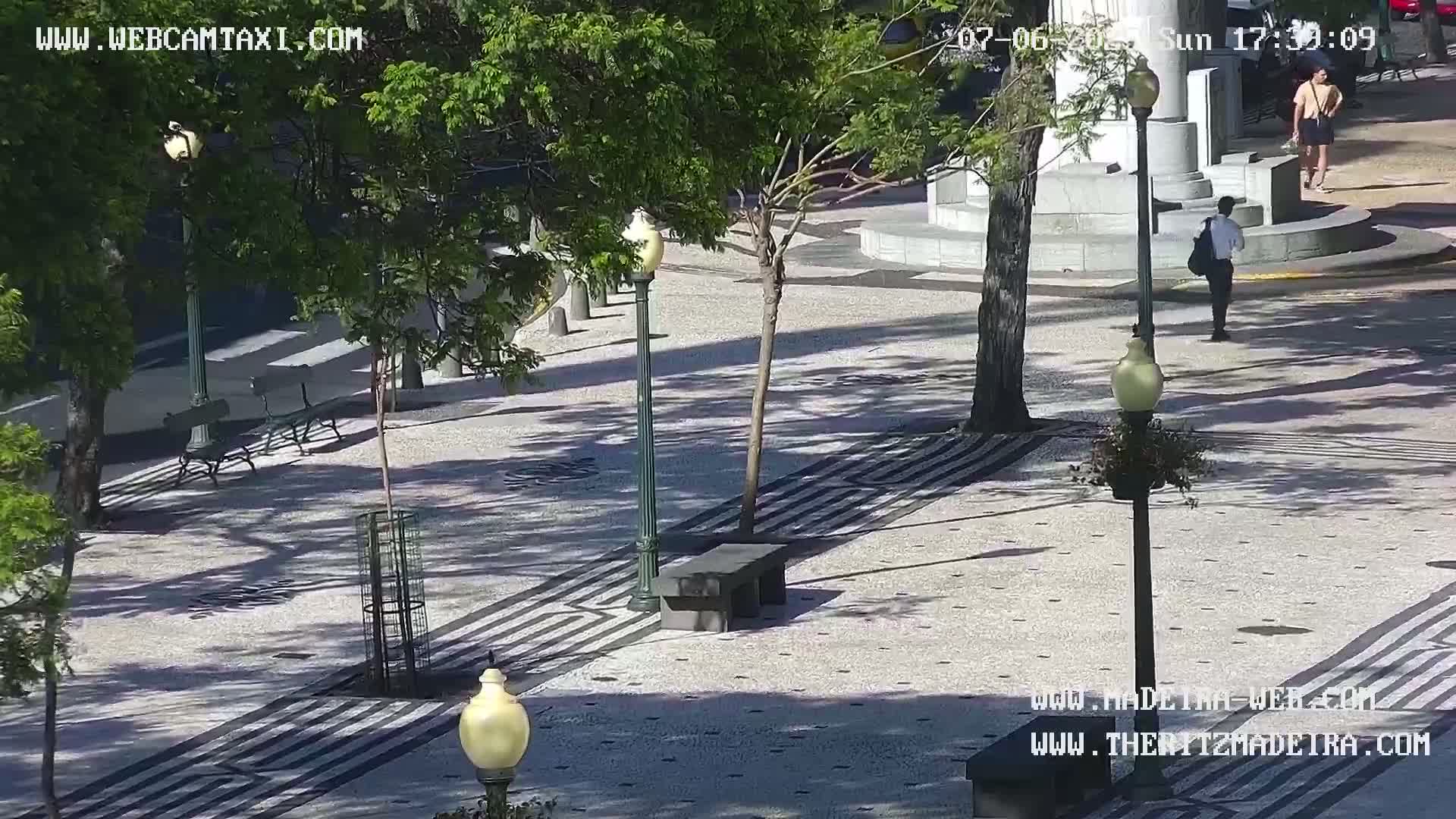 Ritz, Avenida Arriaga Avenue & Joao Goncalves Zarco Statue Live Cam - Funchal, Madeira, Portugal