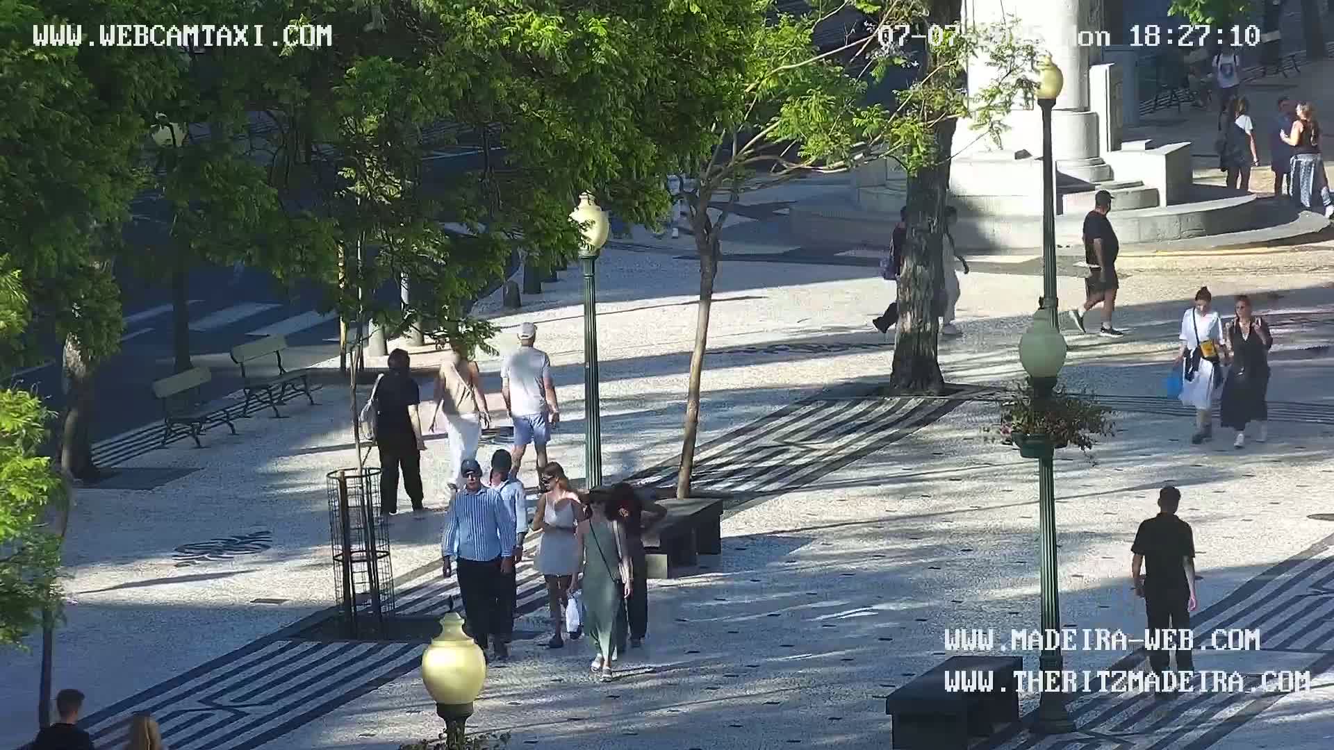 Ritz, Avenida Arriaga Avenue & Joao Goncalves Zarco Statue Live Cam - Funchal, Madeira, Portugal
