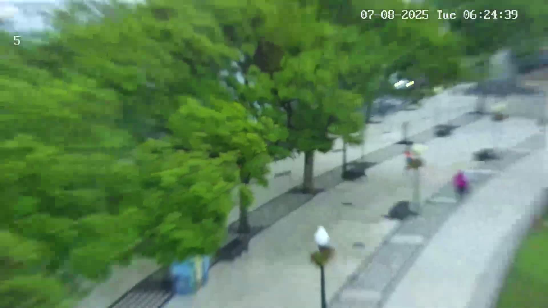 Ritz, Avenida Arriaga Avenue & Joao Goncalves Zarco Statue Live Cam - Funchal, Madeira, Portugal