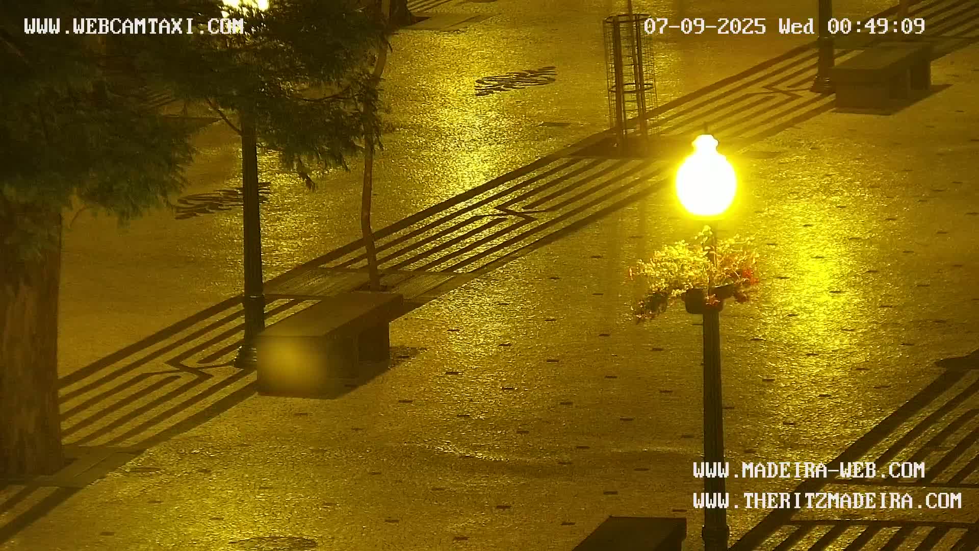 Ritz, Avenida Arriaga Avenue & Joao Goncalves Zarco Statue Live Cam - Funchal, Madeira, Portugal