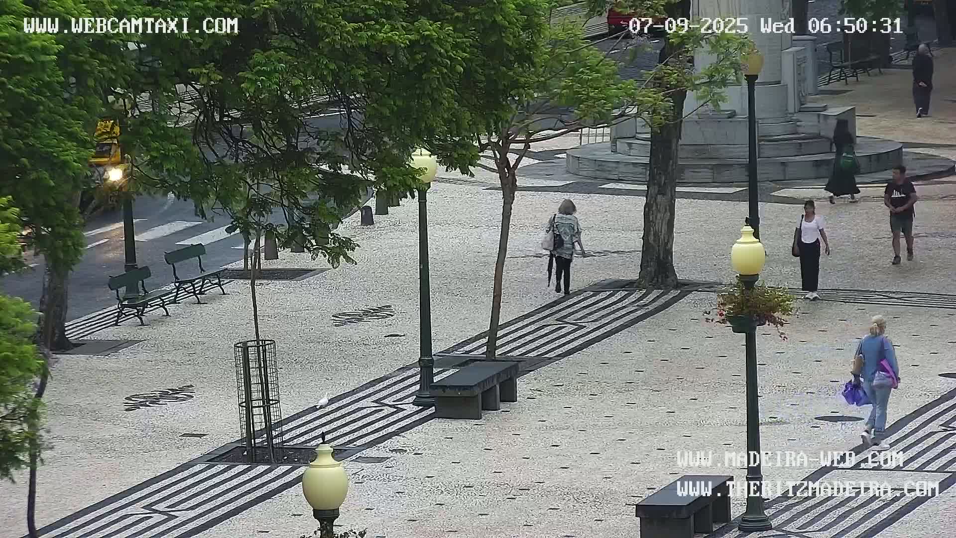 Ritz, Avenida Arriaga Avenue & Joao Goncalves Zarco Statue Live Cam - Funchal, Madeira, Portugal