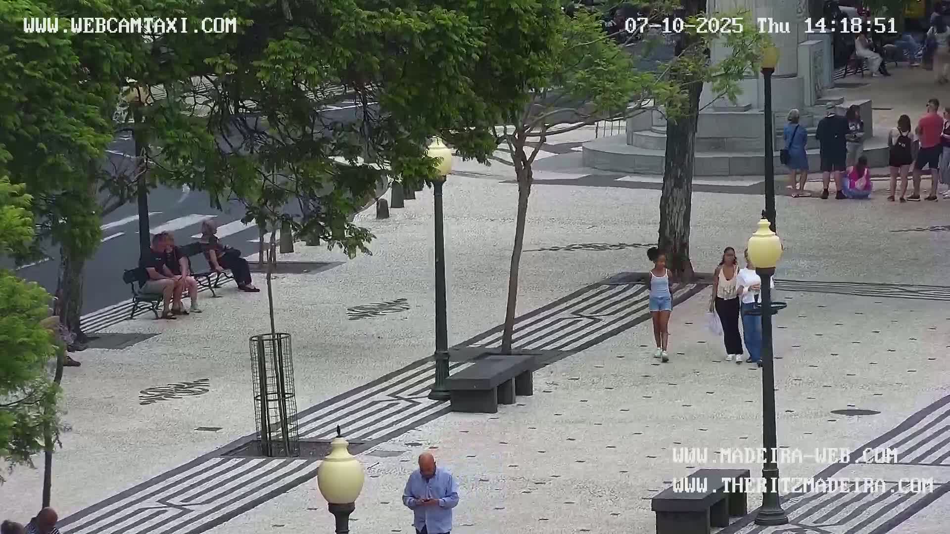 Ritz, Avenida Arriaga Avenue & Joao Goncalves Zarco Statue Live Cam - Funchal, Madeira, Portugal