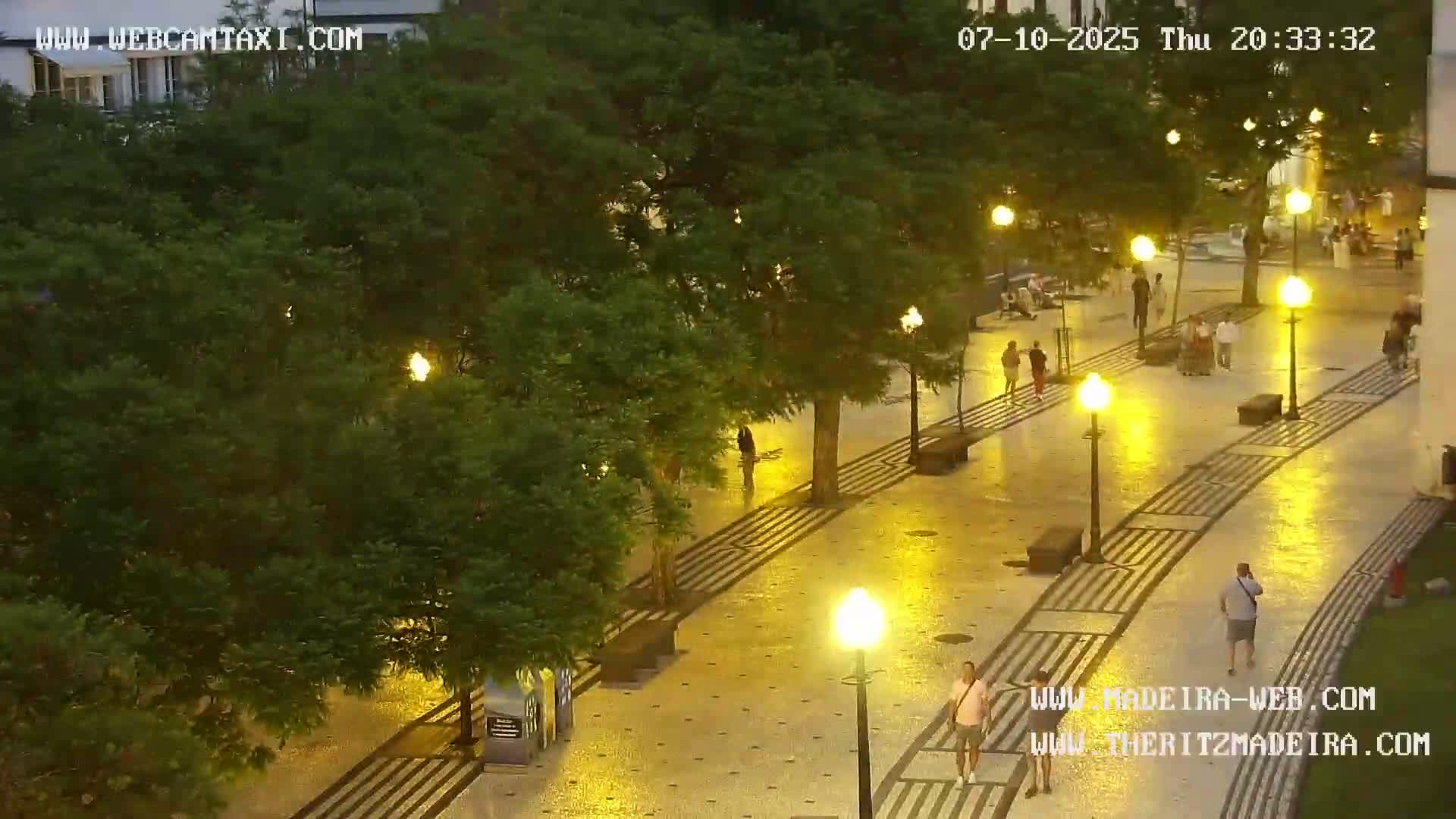 Ritz, Avenida Arriaga Avenue & Joao Goncalves Zarco Statue Live Cam - Funchal, Madeira, Portugal