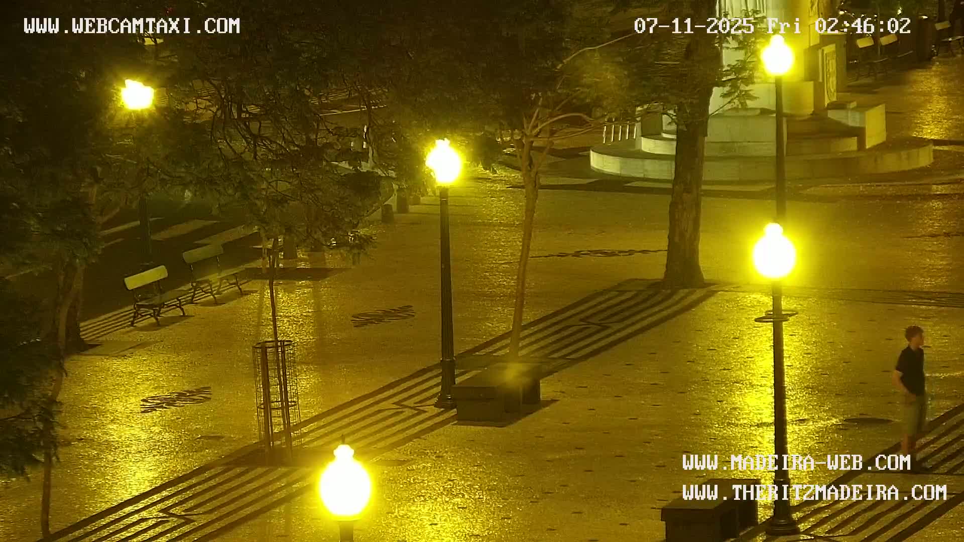 Ritz, Avenida Arriaga Avenue & Joao Goncalves Zarco Statue Live Cam - Funchal, Madeira, Portugal