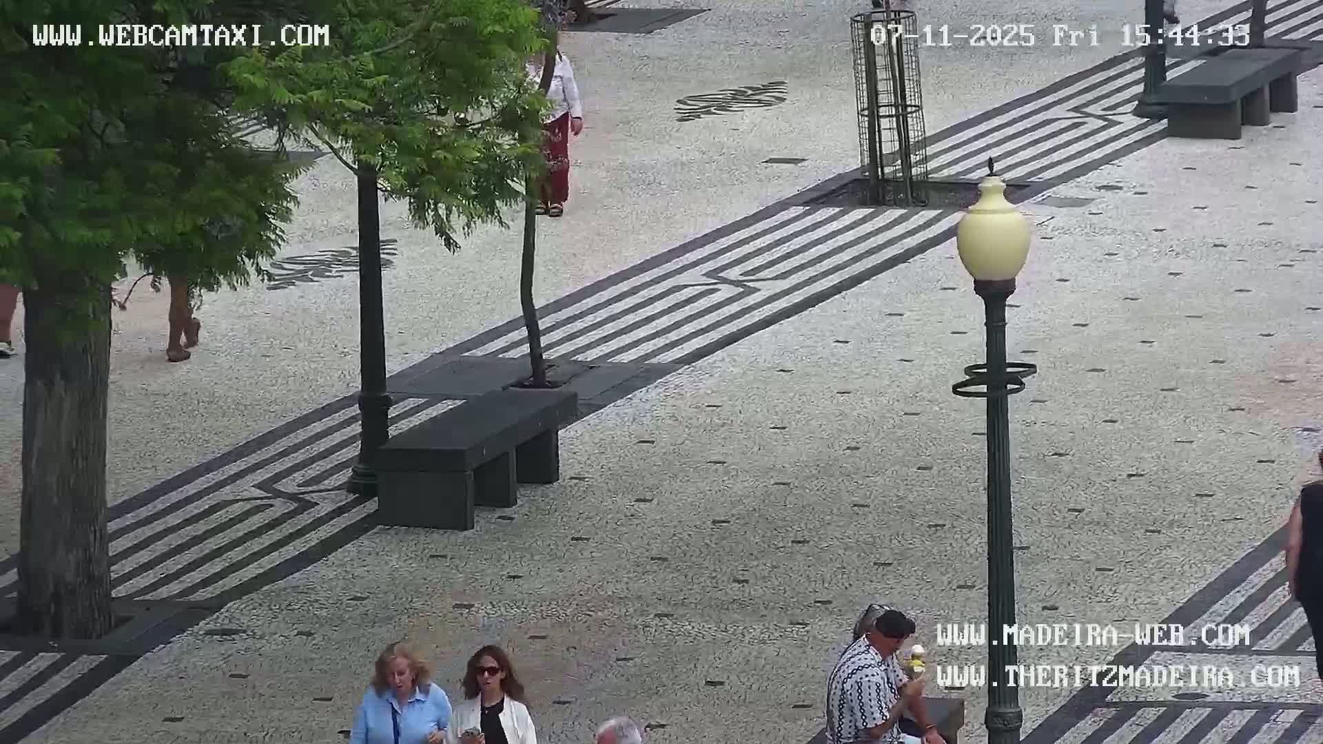 Ritz, Avenida Arriaga Avenue & Joao Goncalves Zarco Statue Live Cam - Funchal, Madeira, Portugal