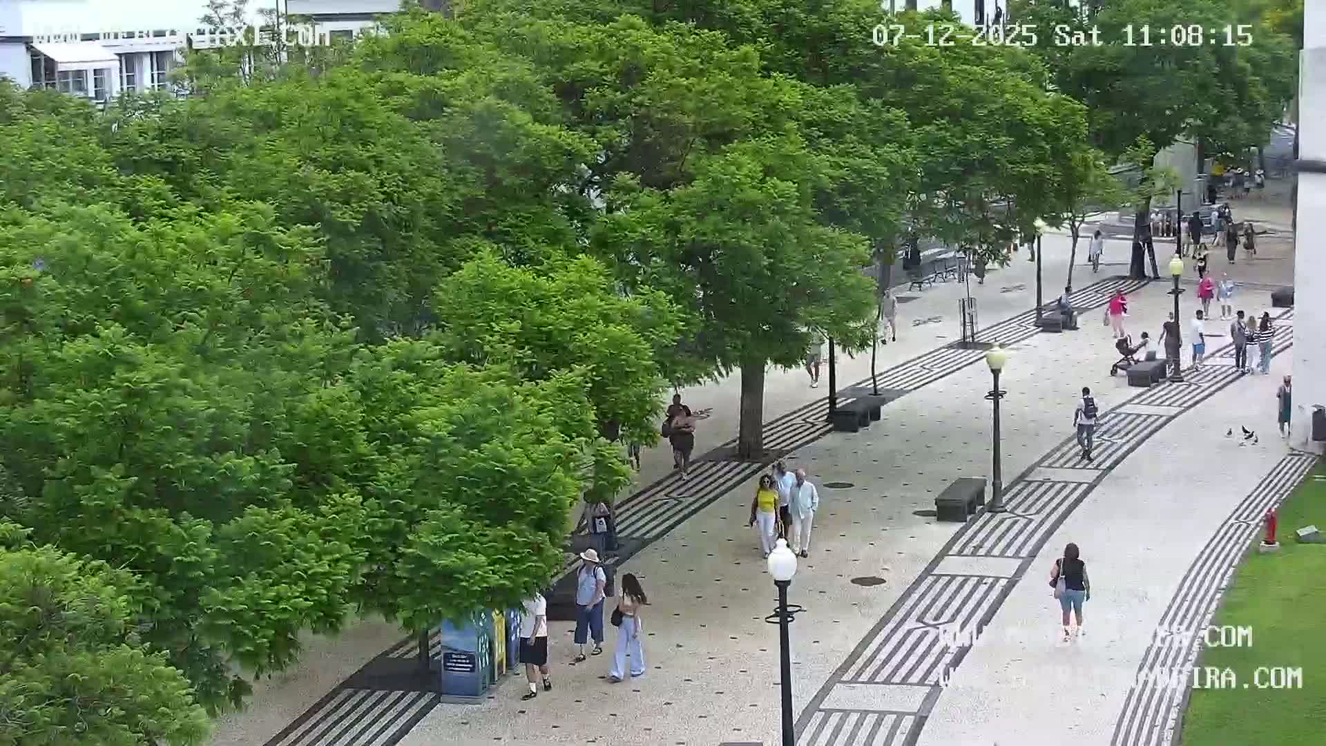 Ritz, Avenida Arriaga Avenue & Joao Goncalves Zarco Statue Live Cam - Funchal, Madeira, Portugal